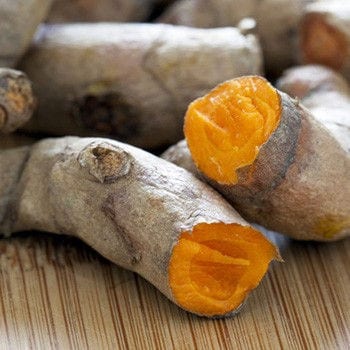 Turmeric Essential Oil, Organic | 100% Pure Essential Oil of Turmeric | Therapeutic Essential Oil of Turmeric, Organic | Aromatherapy