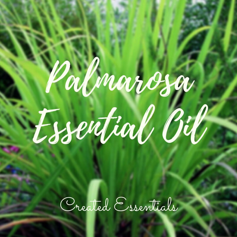 Palmarosa Essential Oil | Organic Essential Oil of Palmarosa | 100% Pure Essential Oil |Therapeutic Essential Oil of Palmarosa |Aromatherapy