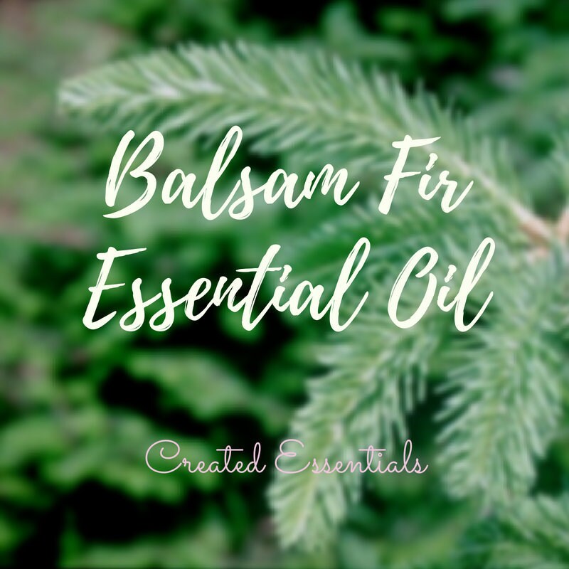 Balsam Fir Essential Oil | Wildcrafted Essential Oil Balsam Fir | 100 % Pure Essential Oil | Balsam Fir Aromatherapy Oil