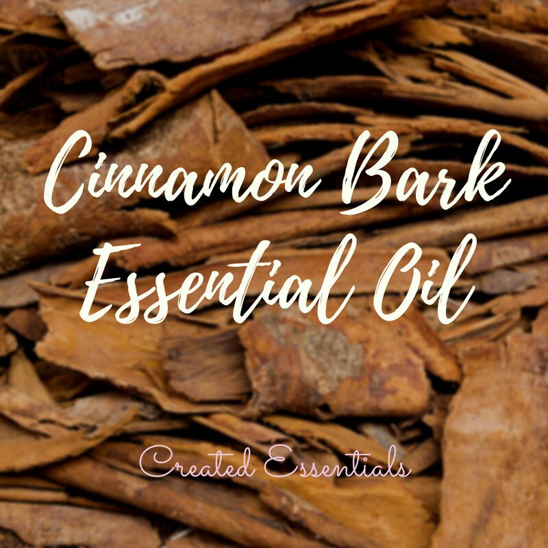 Cinnamon Essential Oil | Organic Essential Oil of Cinnamon Bark | 100% Pure Essential Oil | Therapeutic Essential Oil of Cinnamon Bark