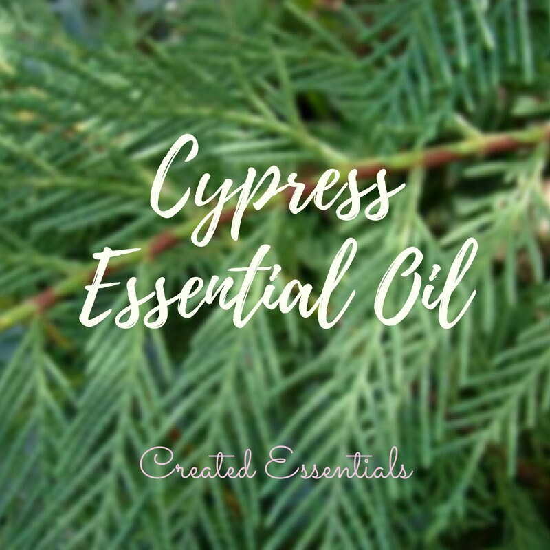 Cypress Essential Oil | Organic Essential Oil of Cypress Leaf | 100% Pure Essential Oil | Therapeutic Essential Oil of Cypress Leaf