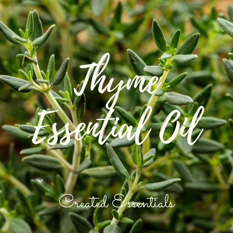 Thyme Essential Oil | Organic Essential Oil of Thyme ct linalool | 100 % Pure Essential Oil | Thyme Oil, Therapeutic Aromatherapy