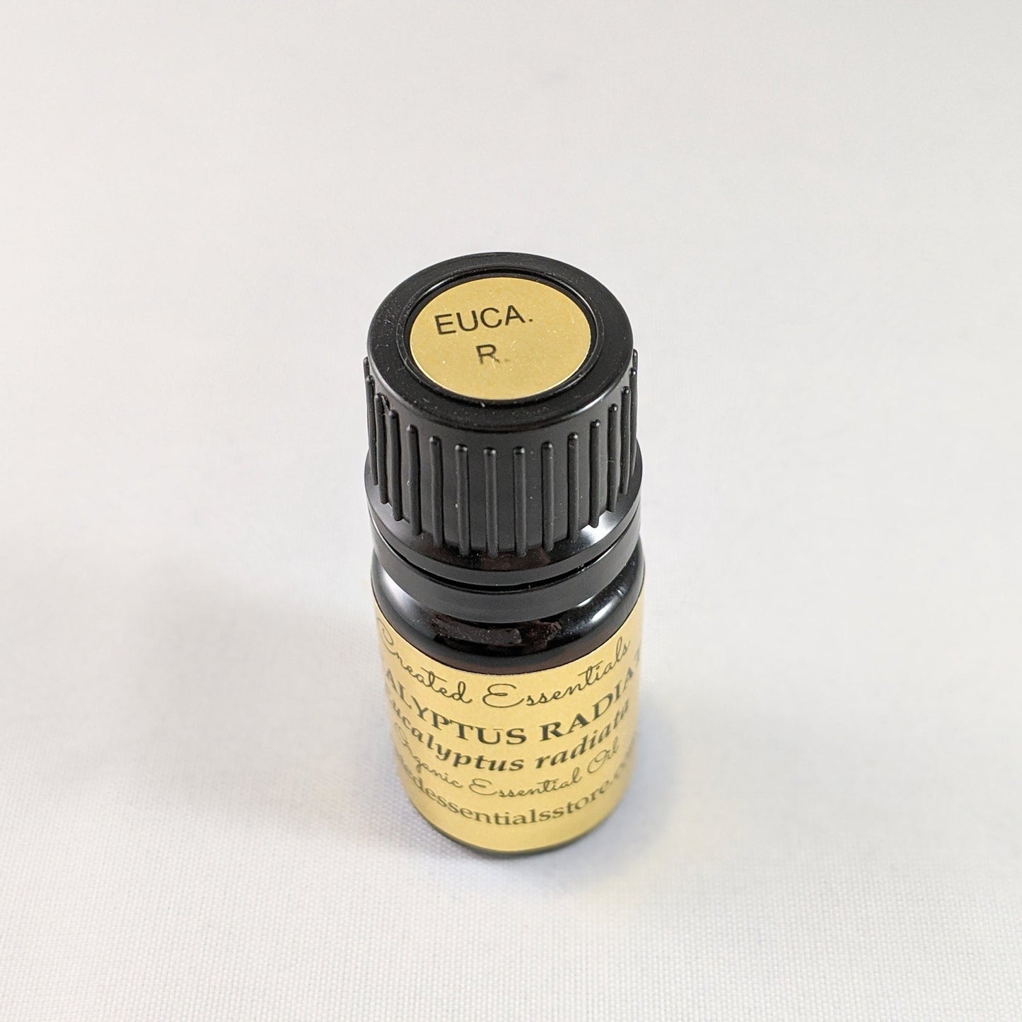 Eucalyptus Radiata Essential Oil | Organic Essential Oil Eucalyptus Radiata | 100% Pure Essential Oil | Therapeutic Essential Oil Eucalyptus