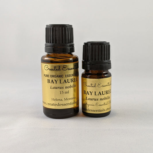 Bay Laurel Essential Oil | Organic Bay Laurel Essential Oil | Pure Essential Oil | Therapeutic Essential Oil of Bay Laurel, Laurus nobilis
