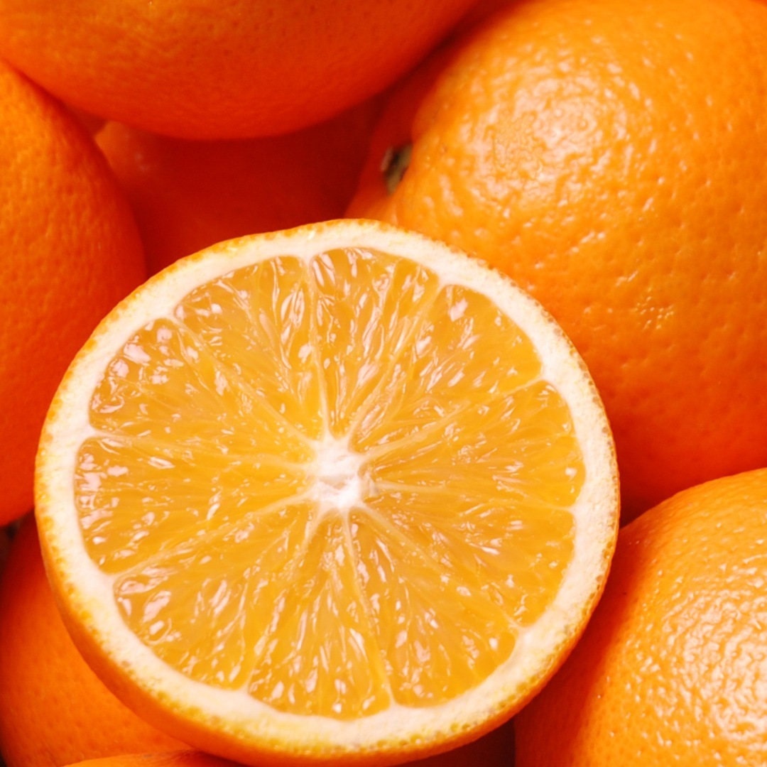 Orange Essential Oil | Organic Sweet Orange Essential Oil | 100% Pure Essential Oil | Therapeutic Essential Oil of Orange