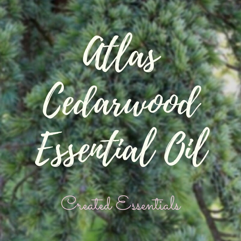 Cedarwood Atlas Essential Oil | Organic Essential Oil of Cedarwood Atlas | 100% Pure Essential Oil | Therapeutic Essential Oil of Cedarwood