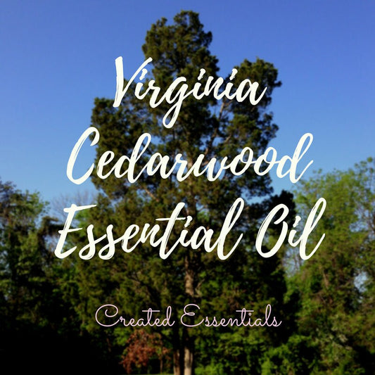 Cedarwood Virginia Essential Oil | Wildcrafted Virginia Cedarwood Essential Oil | Pure Essential Oil | Therapeutic Virginia Cedarwood