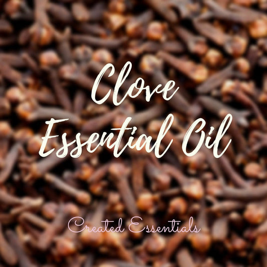 Clove Essential Oil | Organic Essential Oil of Clove | 100% Pure Essential Oil | Clove Aromatherapy Oil