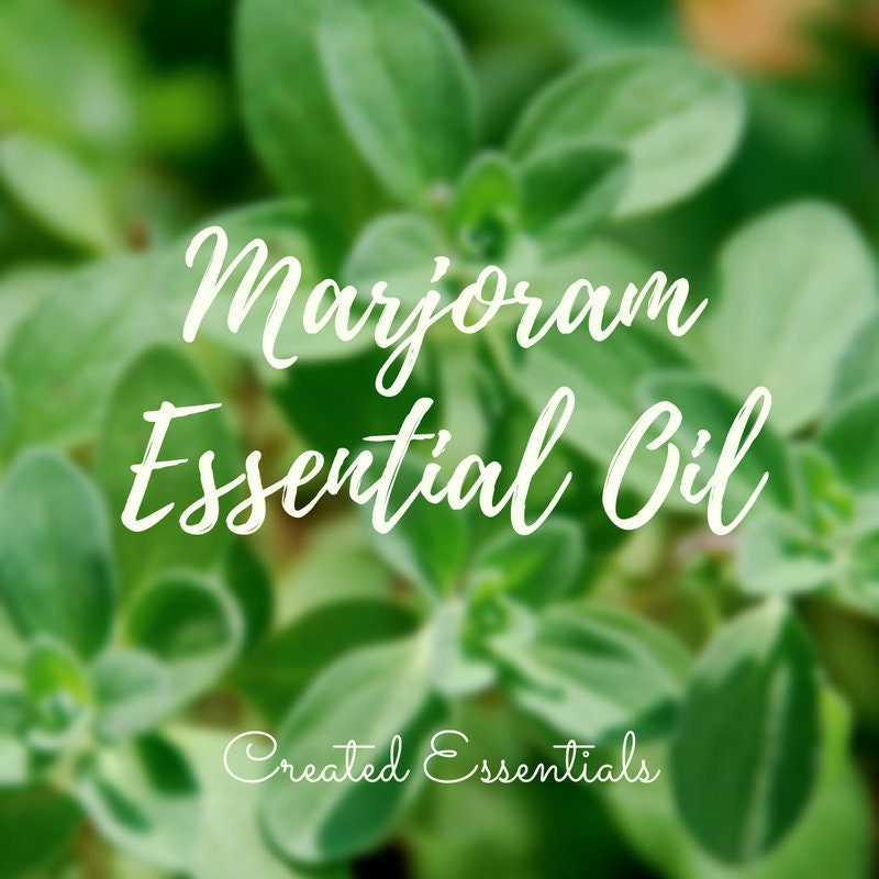 Marjoram Essential Oil | 100% Pure Essential Oil of Marjoram | Therapeutic Essential Oil of Marjoram | Aromatherapy