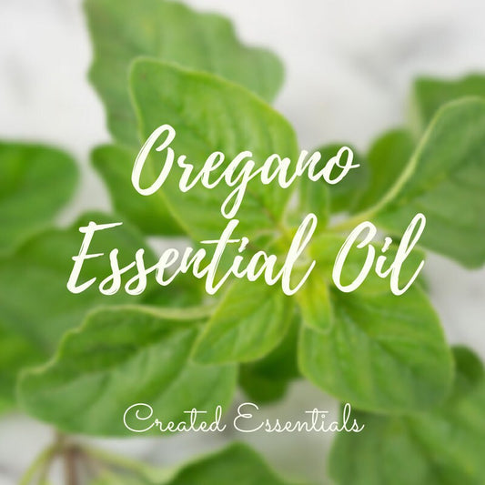Oregano Essential Oil | 100% Pure Essential Oil of Oregano | Therapeutic Oregano Oil | Aromatherapy Oil