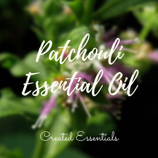 Patchouli Essential Oil | Organic Patchouli Essential Oil | |100% Pure Essential Oil | Therapeutic Essential Oil of Patchouli | Aromatherapy