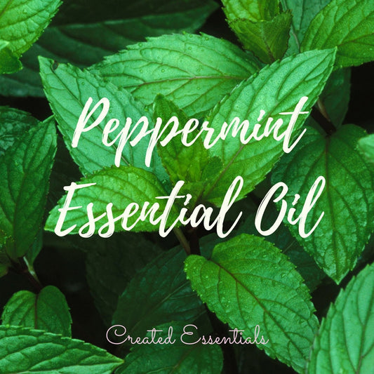 Peppermint Essential Oil | Organic Essential Oil of Peppermint | 100 % Pure Essential Oil | Peppermint Essential Oil for Aromatherapy