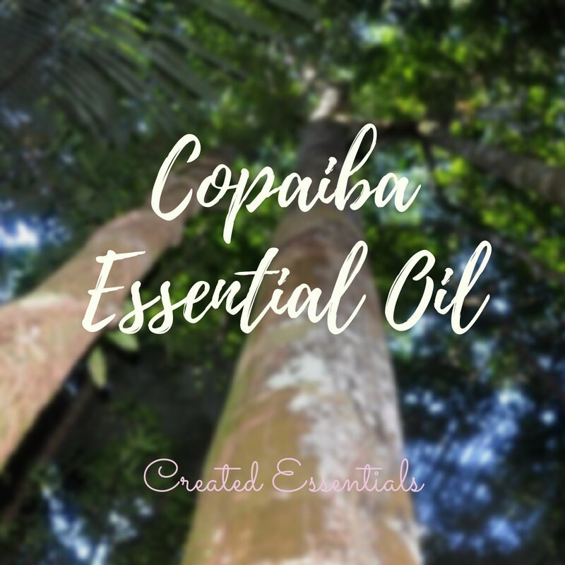 Copaiba Essential Oil | Wildcrafted Essential Oil of Copaiba | Copaiba | 100% Pure Essential Oil | Therapeutic Essential Oil of Copaiba