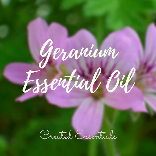 Geranium Essential Oil | Organic Essential Oil of Geranium | 100% Pure Essential Oil | Therapeutic Essential Oil of Geranium | Aromatherapy