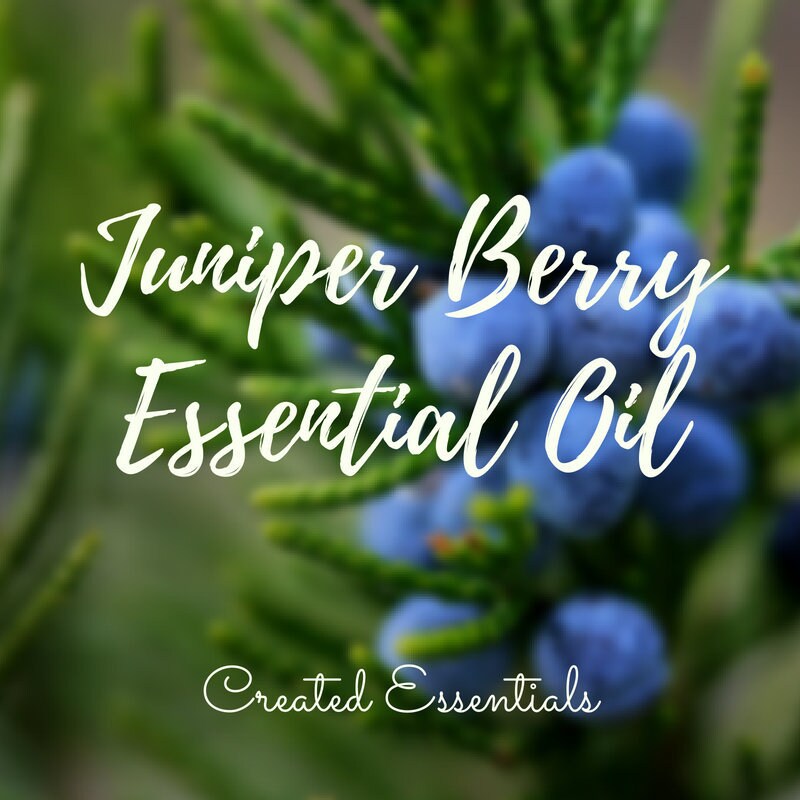 Juniper Essential Oil | Organic Juniper Essential Oil | 100% Pure Essential Oil |Therapeutic Essential Oil of Juniper Berry | Aromatherapy