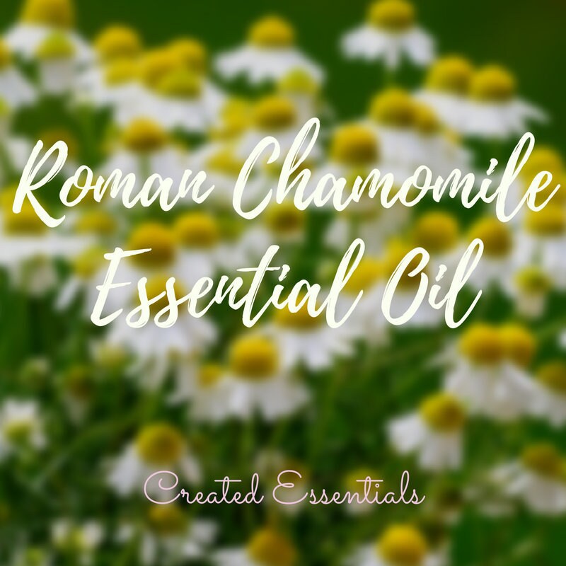 Roman Chamomile Essential Oil | Organic Pure Therapeutic Grade Roman Chamomile Essential Oil from Italy | Essential Oil of Roman Chamomile