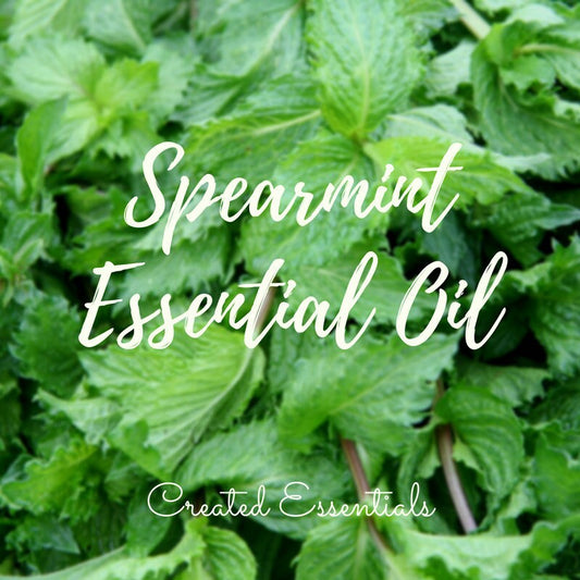 Spearmint Essential Oil | Organic Essential Oil of Spearmint | 100 % Pure Essential Oil | Spearmint Oil, Therapeutic Aromatherapy