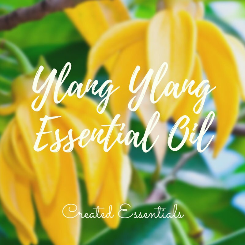 Ylang Ylang Essential Oil | 100% Pure Essential Oil | Therapeutic Essential Oil of Ylang Ylang | Complete Distillation